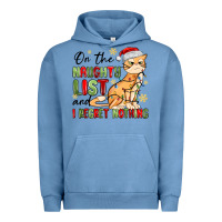 Pigment Pebble Blue on the naughty list and i regret nothing Urban Hoodie - MaliasSmallBusiness