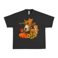 Pigment Black Fall Goat Urban Heavy Tee - RanaPortraitStore