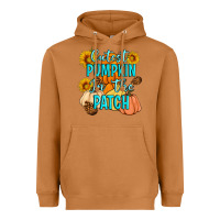 Meerkat Cutest Pumpkin In The Patch Heavyweight Hoodie - Artiststas