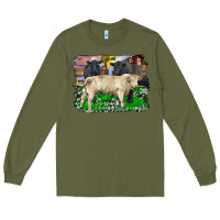 Army Green charolais bull black angus cattle and bull with barnyard and cowhide Long Sleeve Tee - RanaPortraitStore