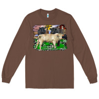 Chestnut charolais bull black angus cattle and bull with barnyard and cowhide Long Sleeve Tee - RanaPortraitStore
