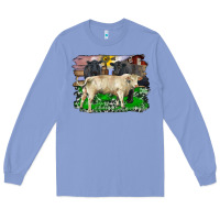 Colony Blue charolais bull black angus cattle and bull with barnyard and cowhide Long Sleeve Tee - RanaPortraitStore