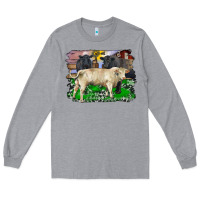Heather Grey charolais bull black angus cattle and bull with barnyard and cowhide Long Sleeve Tee - RanaPortraitStore