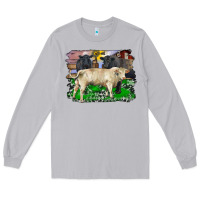 Moon Dust charolais bull black angus cattle and bull with barnyard and cowhide Long Sleeve Tee - RanaPortraitStore