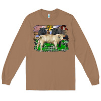 Toasted Coconut charolais bull black angus cattle and bull with barnyard and cowhide Long Sleeve Tee - RanaPortraitStore