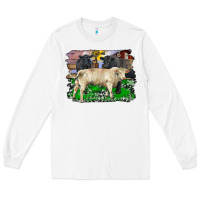 White charolais bull black angus cattle and bull with barnyard and cowhide Long Sleeve Tee - RanaPortraitStore