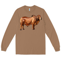 Toasted Coconut brahman bull Long Sleeve Tee - RanaPortraitStore