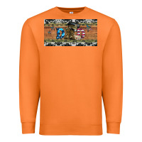 Carrot soldier dad license  plate Premium Sweatshirt - Artiststas