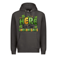 Smoke here for the shenanigans Premium Hoodie - MaliasSmallBusiness