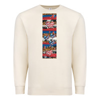 Sandshell usa flag and western patterns  penwraps 1 Premium Sweatshirt - Artiststas