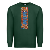 Sports Green usa flag and mom penwraps Premium Sweatshirt - Artiststas