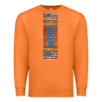 Carrot usa flag and mom penwraps 2 Premium Sweatshirt - Artiststas
