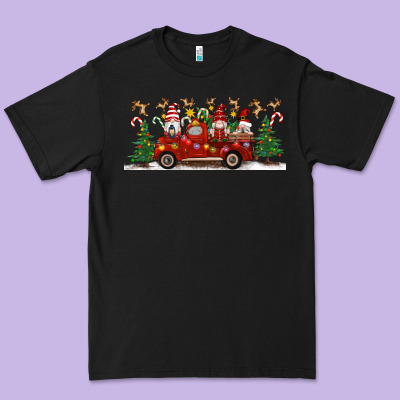 Christmas Gnome Truck Premium Tee Designed By Artiststas