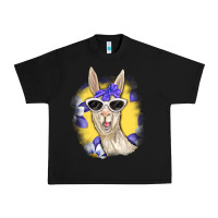 Black Llama With Sunglasses Urban Heavy Tee - RanaPortraitStore
