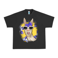 Pigment Black Llama With Sunglasses Urban Heavy Tee - RanaPortraitStore