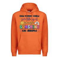 Carrot good morning world your little ray of sarcastic Premium Hoodie - MaliasSmallBusiness