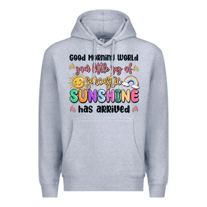 Good Morning World Your Little Ray Of Sarcastic Premium Hoodie by MaliasSmallBusiness | Teevron
