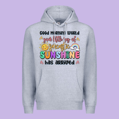 Good Morning World Your Little Ray Of Sarcastic Premium Hoodie Designed By Maliassmallbusiness