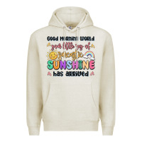 Oatmeal Heather good morning world your little ray of sarcastic Premium Hoodie - MaliasSmallBusiness