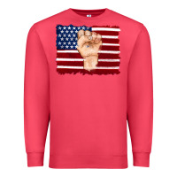 Cardinal american flag with hand Premium Sweatshirt - Artiststas