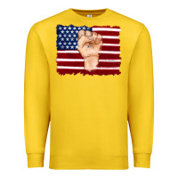 Lemon american flag with hand Premium Sweatshirt - Artiststas