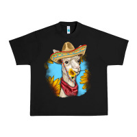 Black Sombrero Llama Urban Heavy Tee - RanaPortraitStore