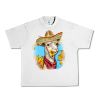 Lunar Rock Sombrero Llama Urban Heavy Tee - RanaPortraitStore