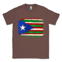 Chestnut Mexico and Puerto Rico Flag Classic Tee - texasbilliewilder