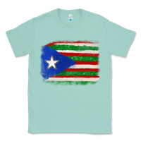 Seafoam Mexico and Puerto Rico Flag Classic Tee - texasbilliewilder