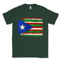 Sports Green Mexico and Puerto Rico Flag Classic Tee - texasbilliewilder