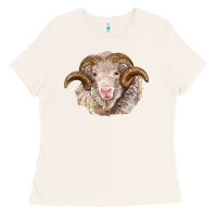 Bone merino wool ram Ladies Tee - BarkalooDesign