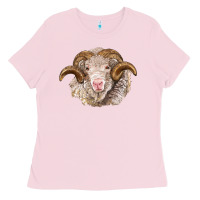 Bubblegum Pink merino wool ram Ladies Tee - BarkalooDesign