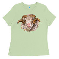 Matcha merino wool ram Ladies Tee - BarkalooDesign
