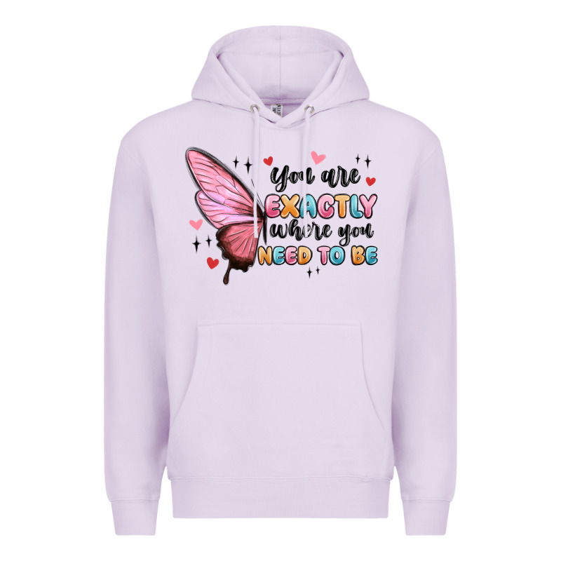 You Sre Exactly Where You Need To Be Premium Hoodie by MaliasSmallBusiness | Teevron