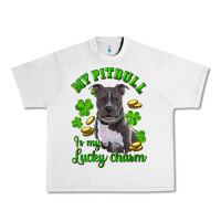 Lunar Rock st patricks day my pitbuli my lucky charm Urban Heavy Tee - RanaPortraitStore