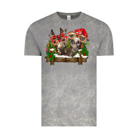 Cloud Rock Christmas donkeys Vintage Tee - BarkalooDesign