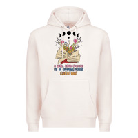 Pale Pink a well read woman is a dangerous creature Premium Hoodie - MaliasSmallBusiness