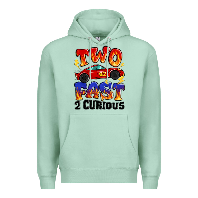 Two Fast Two Curious Boys Birthday Racing Car Premium Hoodie by MaliasSmallBusiness | Teevron