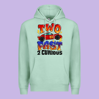 Two Fast Two Curious Boys Birthday Racing Car Premium Hoodie Designed By Maliassmallbusiness