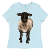 Suffolk Ewe Front Ladies Tee | Teevron