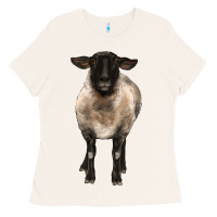 Bone suffolk ewe front Ladies Tee - BarkalooDesign