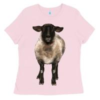 Bubblegum Pink suffolk ewe front Ladies Tee - BarkalooDesign