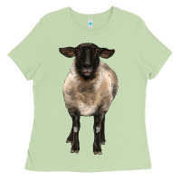 Matcha suffolk ewe front Ladies Tee - BarkalooDesign