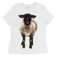 White suffolk ewe front Ladies Tee - BarkalooDesign