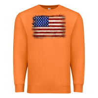 Carrot American flag Premium Sweatshirt - JahusDesignShop