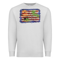 Dove Grey American flag halloween background Premium Sweatshirt - JahusDesignShop