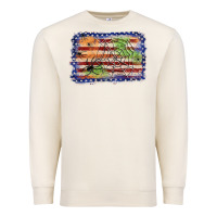 Sandshell American flag halloween background Premium Sweatshirt - JahusDesignShop