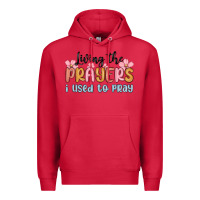 Cardinal living the prayers i used to pray Premium Hoodie - MaliasSmallBusiness