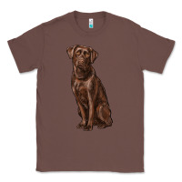 Chestnut labrador retriever Classic Tee - RanaPortraitStore
