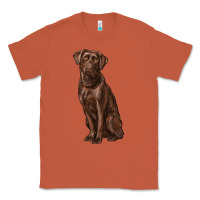 Copper labrador retriever Classic Tee - RanaPortraitStore